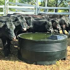 Cattle Water Trough